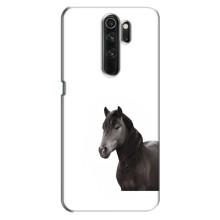 Чехлы с Лошадью дляOppo A9 (2020) (VPrint) (Черный Конь)