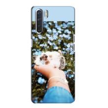 Чехлы с изображением разных животных для Oppo A91 (Ежик на руках)