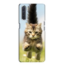 Чехлы с Котиками для Oppo A91 (VPrint) (Прыжок кота)