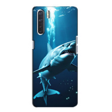 Чехол с картинкой «Хищники» для Oppo A91 – Акула
