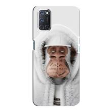 Чехлы с Обезьянами NFT для Oppo A92 (AlphaPrint) (обезьяна NFT в тату)