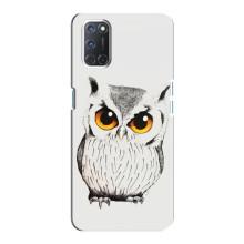 Чехол с птицами на Oppo A92 (VPrint) (Милая Сова)