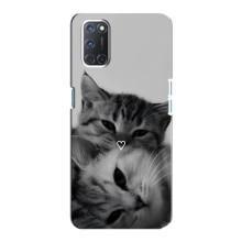 Чохол з малюнком кіт на Oppo A92 – Пара котів