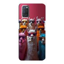 Чохол з принтом стильні тварини для OPPO А92 – Лами в окулярах