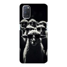 Чохол з принтом стильні тварини для OPPO А92 – Овечка в окулярах