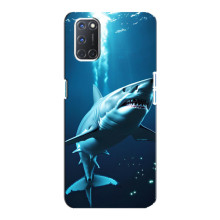 Чохол з картинкою 'Хижаки' для Oppo A92 – Акула