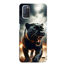 Чохол з картинкою 'Хижаки' для Oppo A92 – Пантера