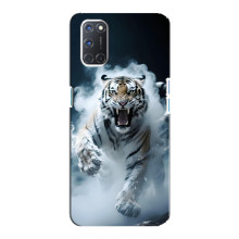 Чохол з картинкою 'Хижаки' для Oppo A92 – Тигр