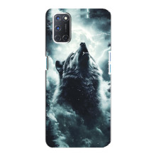 Чохол з картинкою 'Хижаки' для Oppo A92