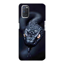 Чохол з картинкою 'Хижаки' для Oppo A92 – Змія