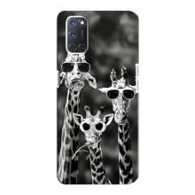 Силиконовый чехол с КАРТИНКАМИ лето для Oppo A92 (AlphaPrint) – Жирафы в очках