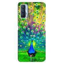 Чохол з пташками на Oppo A92s (VPrint) (Яскравий Павлин)