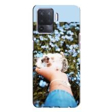 Чохли з зображенням різних тварин на Oppo A94 (Їжачок в руці)