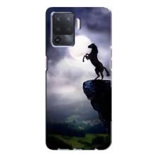 Чохли з зображенням різних тварин на Oppo A94 (Кінь)