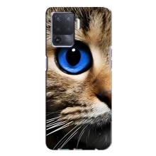 Чехлы с Котиками для Oppo A94 (VPrint) (Глаз кота)