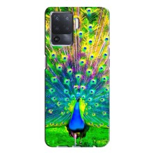 Чехол с птицами на Oppo A94 (VPrint) (Яркий Павлин)