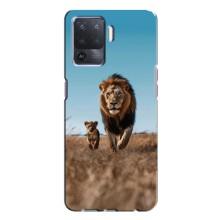 Чехол Король лев на Оппо А94 – Мусафа и Симба