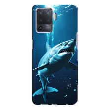 Чехол с картинкой «Хищники» для Oppo A94 – Акула