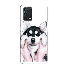 Чехлы с собаками для Oppo A95 (VPrint)