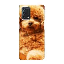 Чехлы с собаками для Oppo A95 (VPrint)