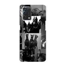 Чохол ДОБЕРМАН  для Oppo A95 – Колаж Доберман