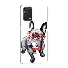 Бампер для Oppo A95 з картинкою "Песики" (В окулярах)