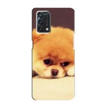 Чохол (ТПУ) Милі песики для Oppo A95 – Померанский шпіц