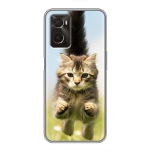 Чехлы с Котиками для Oppo A96 (VPrint) (Прыжок кота)