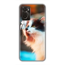 Чехол на Оппо А96 с Котами (VPrint) (Котик с бабочкой)