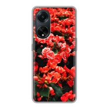 Чехлы с Цветами для Oppo A98 (VPrint) (Цветы красные)