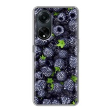 Чехлы с Фруктами для Oppo A98 (VPrint) (Ежевика)
