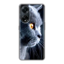Чехлы с Котиками для Oppo A98 (VPrint) (Серый Кот)