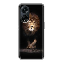 Чехол со Львом для Oppo A98 (VPrint) (Лев)