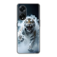 Чохол з картинкою 'Хижаки' для Oppo A98 – Тигр