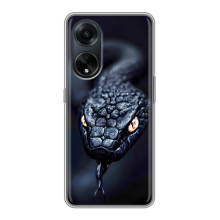 Чохол з картинкою 'Хижаки' для Oppo A98 – Змія
