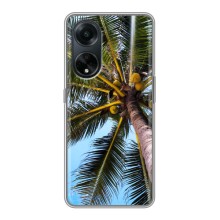 Силиконовый чехол с КАРТИНКАМИ лето для Oppo A98 (AlphaPrint) (Пальма)