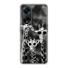 Силиконовый чехол с КАРТИНКАМИ лето для Oppo A98 (AlphaPrint) (Жирафы в очках)