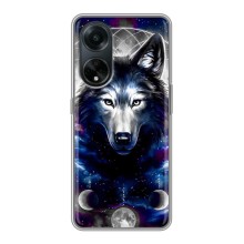 Защитные чехлы для Оппо А98 (AlphaPrint) (ХИТ продаж) ВОЛК (Волк)