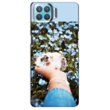 Чехлы с изображением разных животных для Oppo F17 (Ежик на руках)