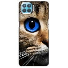 Чехлы с Котиками для Oppo F17 (VPrint) (Глаз кота)