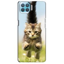 Чехлы с Котиками для Oppo F17 (VPrint) (Прыжок кота)