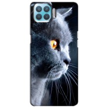 Чехлы с Котиками для Oppo F17 (VPrint) (Серый Кот)