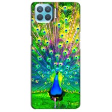 Чехол с птицами на Oppo F17 (VPrint) (Яркий Павлин)
