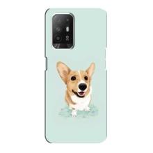 Чохли з собаками для Oppo F19 Pro Plus 5G (VPrint) (Коргі)