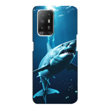 Чохол з картинкою 'Хижаки' для Oppo F19 Pro Plus 5G – Акула