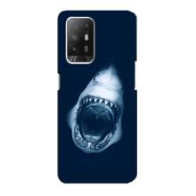 Силиконовый бампер с картинкой животных для Oppo F19 Pro Plus 5G (Пасть Акулы)