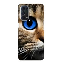 Чехлы с Котиками для Oppo F19 (VPrint) (Глаз кота)