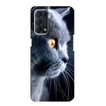 Чехлы с Котиками для Oppo F19 (VPrint) (Серый Кот)