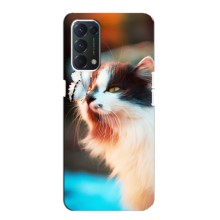Чехол на Оппо Ф19 с Котами (VPrint) (Котик с бабочкой)