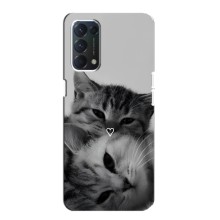 Чехол с рисунком кот на Oppo F19 (Пара котов)